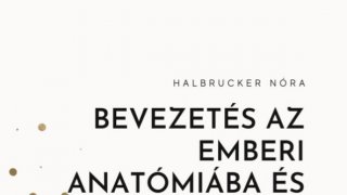 1. Anatómia, élettan